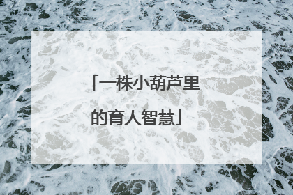 一株小葫芦里的育人智慧