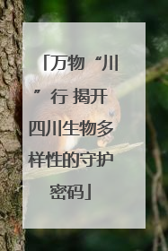 万物“川”行 揭开四川生物多样性的守护密码