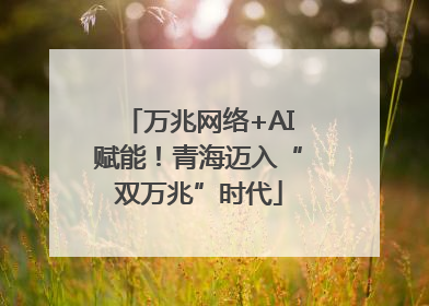 万兆网络+AI赋能！青海迈入“双万兆”时代