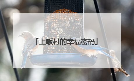 上畈村的幸福密码