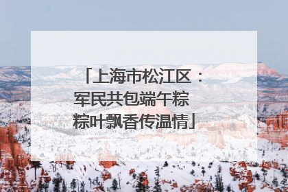 上海市松江区：军民共包端午粽 粽叶飘香传温情
