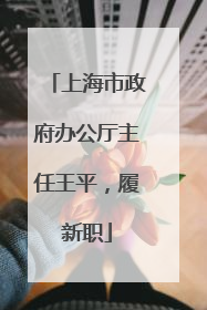 上海市政府办公厅主任王平，履新职