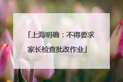 上海明确：不得要求家长检查批改作业