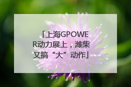 上海GPOWER动力展上，潍柴又搞“大”动作
