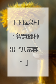 下瓦泉村：智慧棚种出“共富菜”