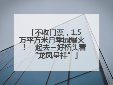 不收门票，1.5万平方米月季园爆火！一起去三好桥头看“龙凤呈祥”