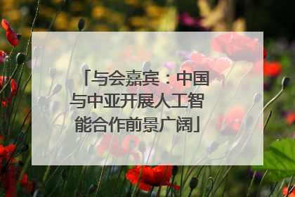 与会嘉宾：中国与中亚开展人工智能合作前景广阔