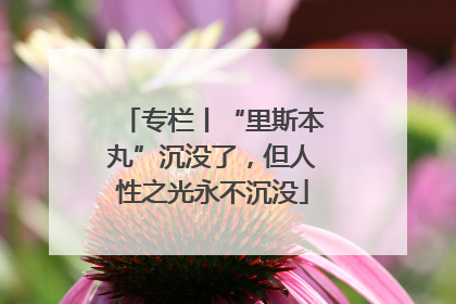 专栏丨“里斯本丸”沉没了，但人性之光永不沉没