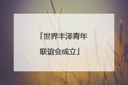 世界丰泽青年联谊会成立