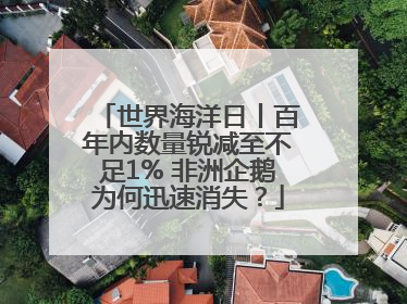 世界海洋日丨百年内数量锐减至不足1% 非洲企鹅为何迅速消失？