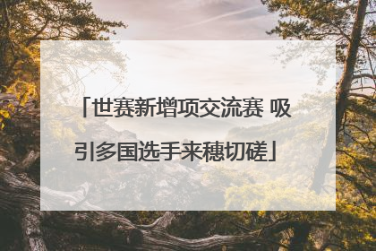 世赛新增项交流赛 吸引多国选手来穗切磋