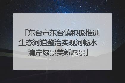 东台市东台镇积极推进生态河道整治实现河畅水清岸绿景美新愿景