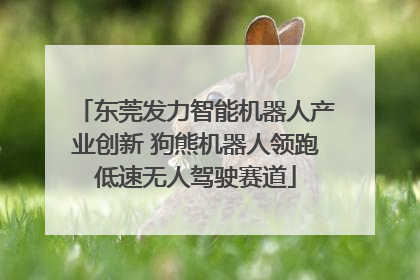 东莞发力智能机器人产业创新 狗熊机器人领跑低速无人驾驶赛道