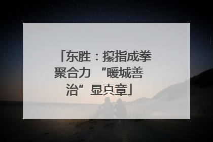 东胜：攥指成拳聚合力 “暖城善治”显真章