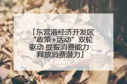 东营港经济开发区“政策+活动”双轮驱动 提振消费能力 释放消费潜力