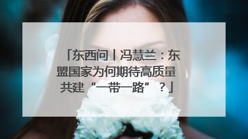 东西问丨冯慧兰：东盟国家为何期待高质量共建“一带一路”？