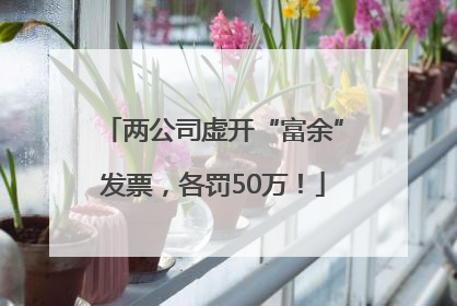 两公司虚开“富余”发票，各罚50万！