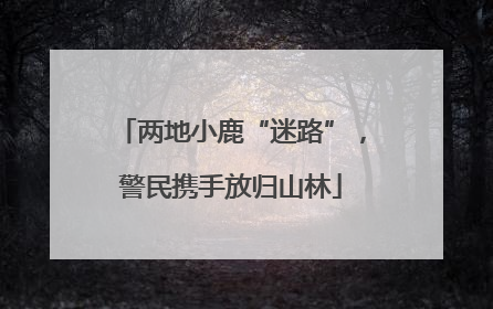 两地小鹿“迷路”，警民携手放归山林