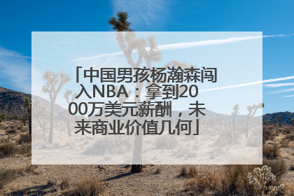 中国男孩杨瀚森闯入NBA：拿到2000万美元薪酬，未来商业价值几何