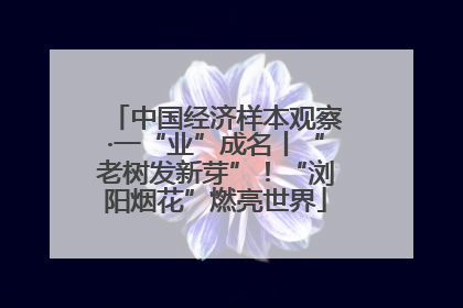 中国经济样本观察·一“业”成名丨“老树发新芽”！“浏阳烟花”燃亮世界
