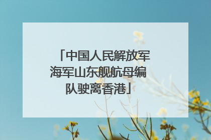 中国人民解放军海军山东舰航母编队驶离香港
