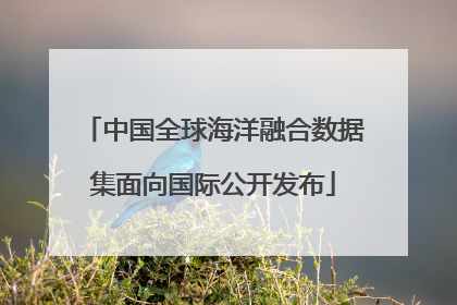 中国全球海洋融合数据集面向国际公开发布