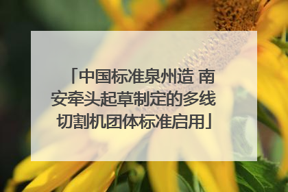 中国标准泉州造 南安牵头起草制定的多线切割机团体标准启用