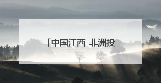 中国江西-非洲投资推介会举行 赞比亚江西经济合作区助力企业“走出去”