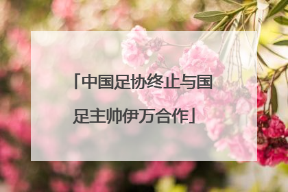 中国足协终止与国足主帅伊万合作
