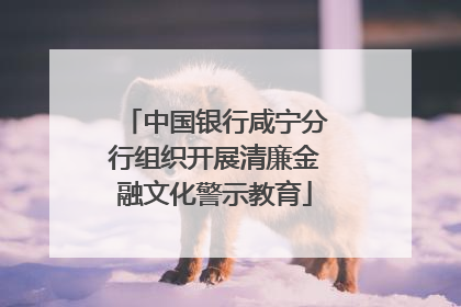中国银行咸宁分行组织开展清廉金融文化警示教育