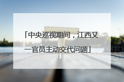 中央巡视期间，江西又一官员主动交代问题