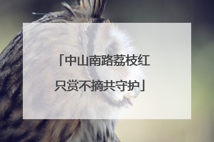 中山南路荔枝红 只赏不摘共守护