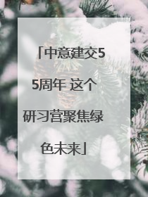 中意建交55周年 这个研习营聚焦绿色未来