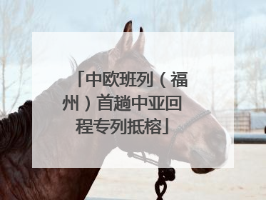 中欧班列（福州）首趟中亚回程专列抵榕