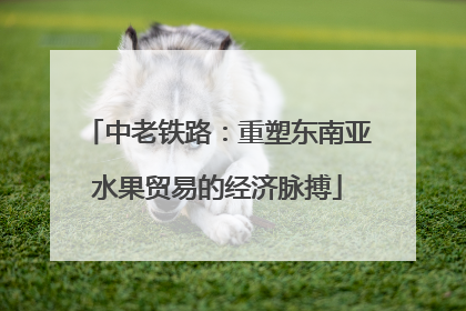 中老铁路：重塑东南亚水果贸易的经济脉搏