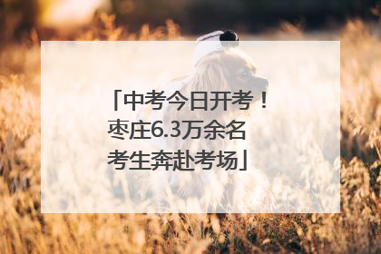 中考今日开考！枣庄6.3万余名考生奔赴考场