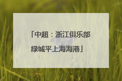 中超：浙江俱乐部绿城平上海海港