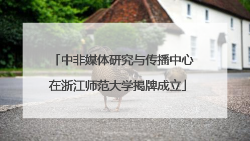 中非媒体研究与传播中心在浙江师范大学揭牌成立
