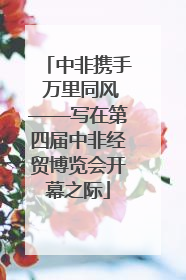 中非携手 万里同风——写在第四届中非经贸博览会开幕之际