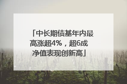 中长期债基年内最高涨超4%，超6成净值表现创新高