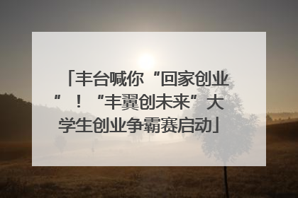 丰台喊你“回家创业”！“丰翼创未来”大学生创业争霸赛启动