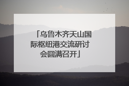乌鲁木齐天山国际枢纽港交流研讨会圆满召开