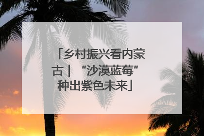 乡村振兴看内蒙古｜“沙漠蓝莓”种出紫色未来