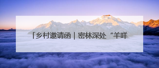 乡村邀请函｜密林深处“羊咩咩”，这个小山村如何逆袭？