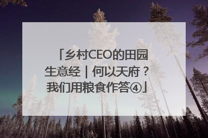 乡村CEO的田园生意经｜何以天府？我们用粮食作答④
