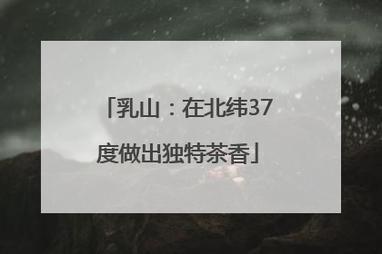 乳山：在北纬37度做出独特茶香