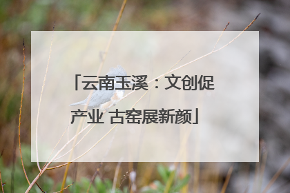 云南玉溪：文创促产业 古窑展新颜