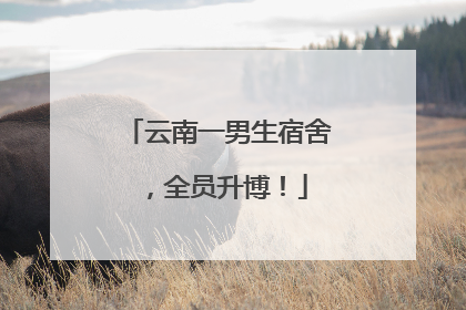 云南一男生宿舍，全员升博！