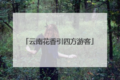 云南花香引四方游客