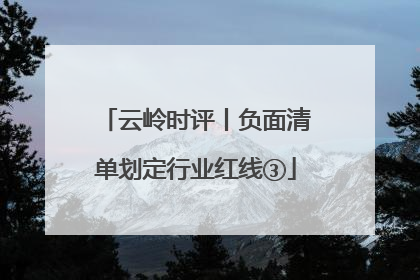 云岭时评丨负面清单划定行业红线③
